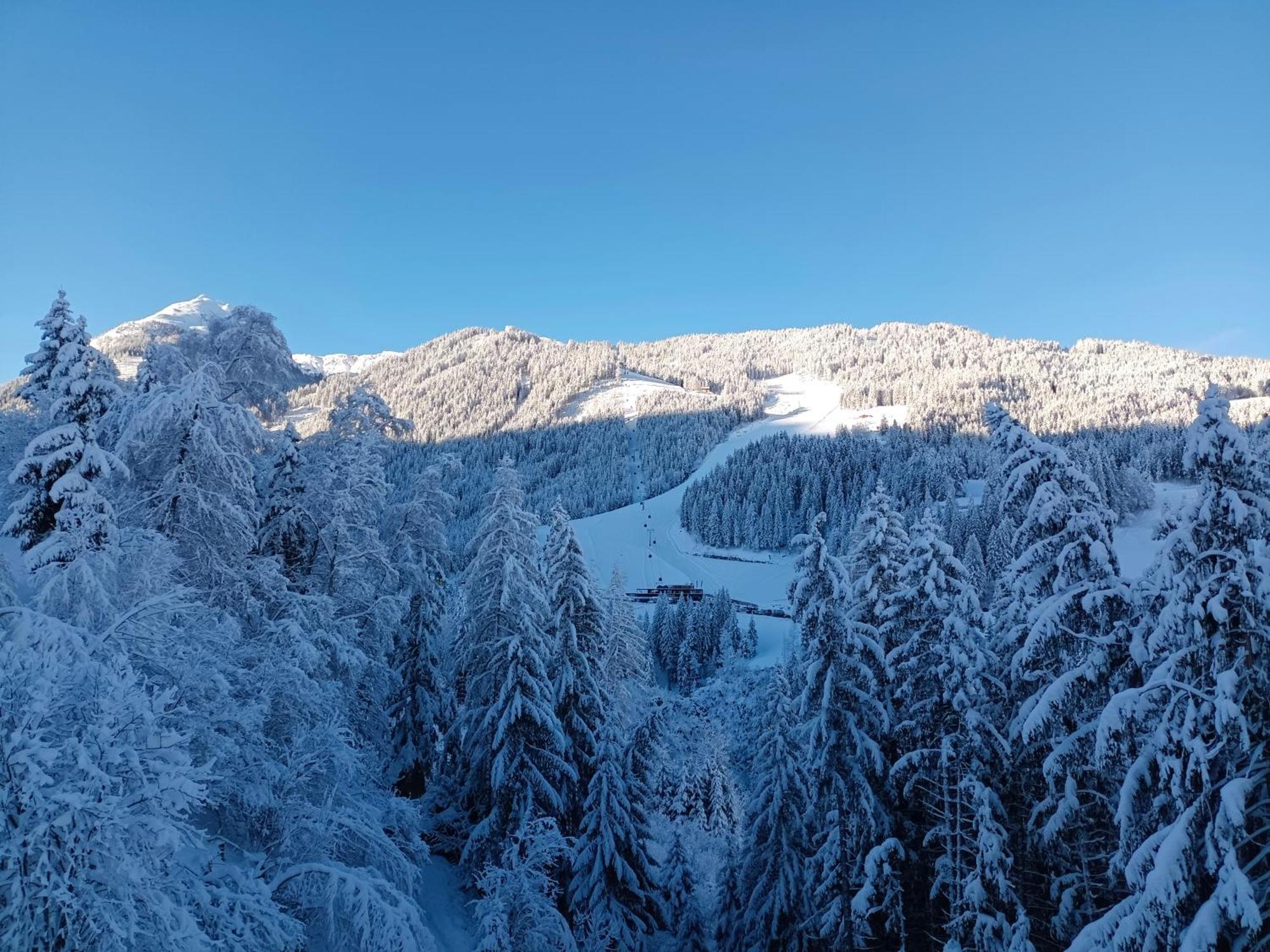 Chalet Leni Schladming Εξωτερικό φωτογραφία